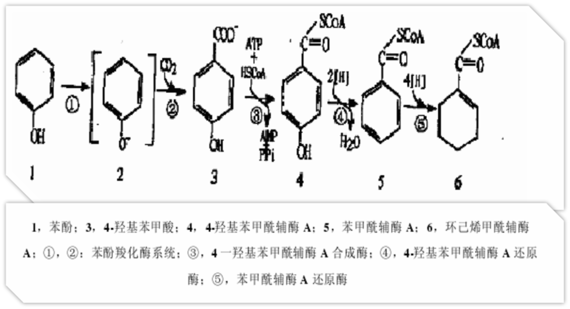 689ae80b86778.png 689ae80b86778.png