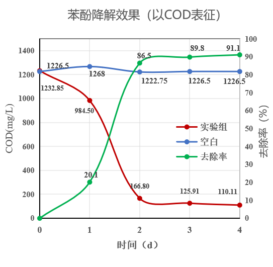 689ae8be2b726.png image.png