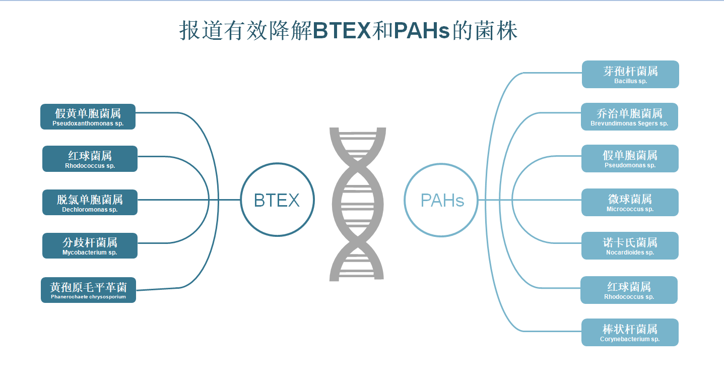 689bef5fa82a1.png 689bef5fa82a1.png