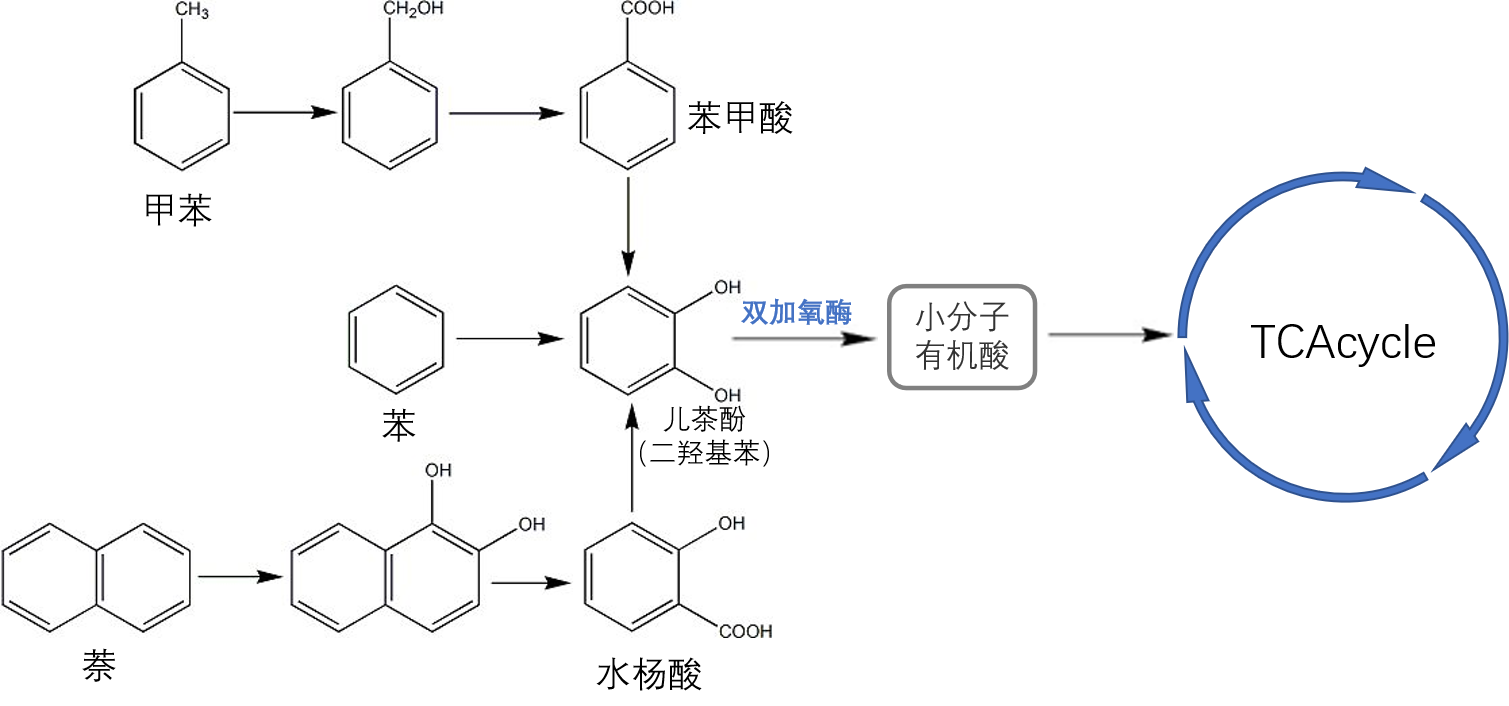 689befe87591a.png 689befe87591a.png