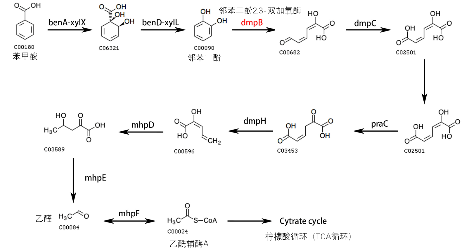 689bf0f81f7f8.png 689bf0f81f7f8.png