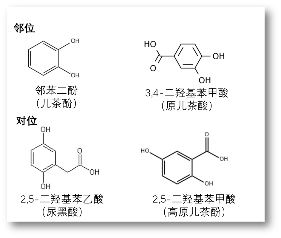 689bf1a4bd8fb.png 689bf1a4bd8fb.png